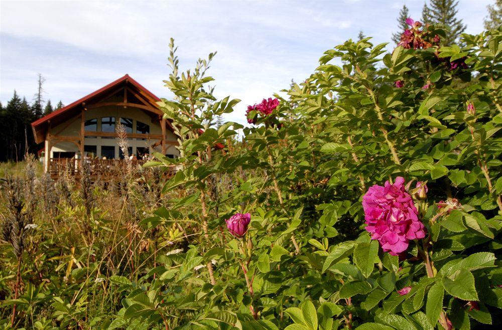 Heather Mountain Lodge Rogers Pass Luaran gambar